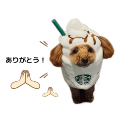 sumire_20251227204011