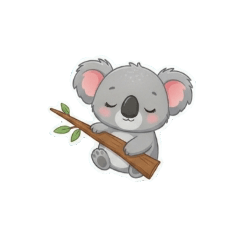 holy water for women_20251227210638