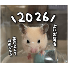 kurumi_20251228012024