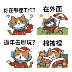 Jim在不言中_阿咘已讀亂回