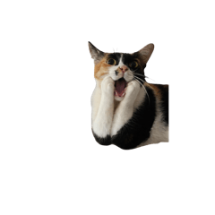 babydollz_20251228030741