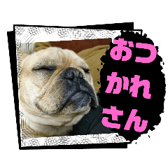 MaruDai_20251227220537