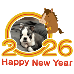 SOEDA_20251228010625