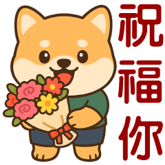 可愛柴犬**日常實用