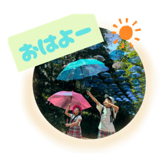 miichan_20251228065451