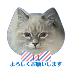 yuka_20251228083050