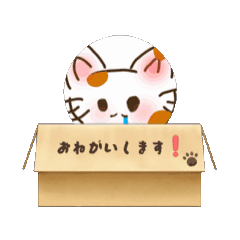 reirei_20251228120104