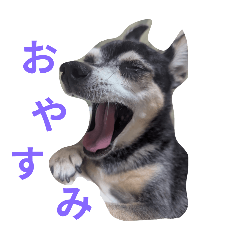 chikuwa_20251228080442