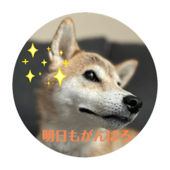 saori_20251228091954