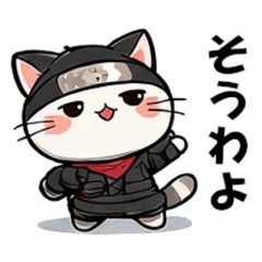 isoyakatu_20251227001759