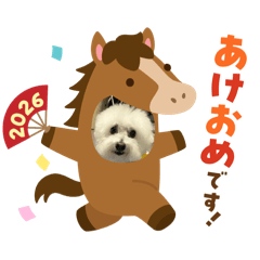 kakokako_20251228093852