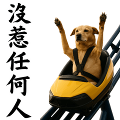 人人都愛小動物