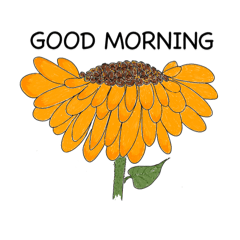 Flowers talk v.6 by tamtam