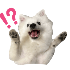 kinji_20251228115653