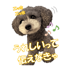 moromoro_20251228122155