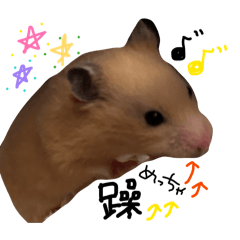 vabiliii_20251227115957