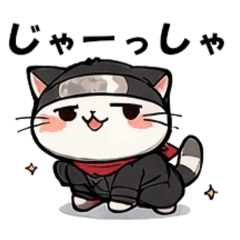 isoyakatu_20251227120703