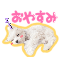 chankase_20251228132828