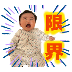 shinta_20251228132236