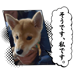 Yoshiki_20251228133629