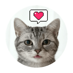 kotatsu_20251228133517