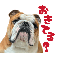 GARP_20251228131609