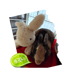 usausa_20251228121001