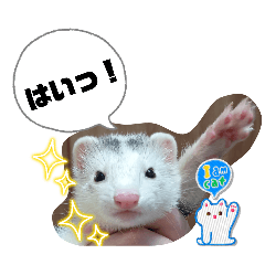 ayaka87_20251228140011