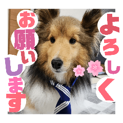 KAYA.RISU_20251228135450