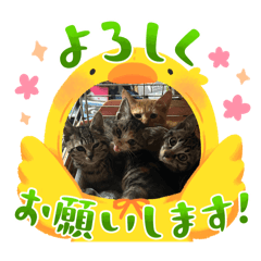 choppermama_20251228140325