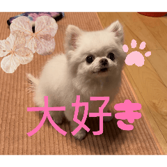 Huuchan_20251228133757