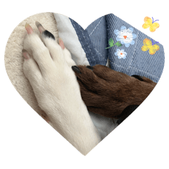 NANAEVA_20251228135410