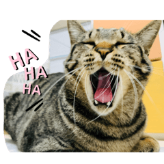 nacky_20251228140037