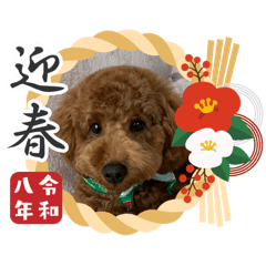 chikuwa_20251228140358