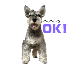 Tohma_20251228160059