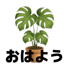 Daily Houseplant Stickers