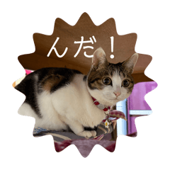 CHIKA_20251228162005