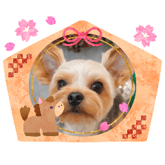 komame_20251228152742