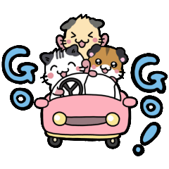 Poron_20251228152437