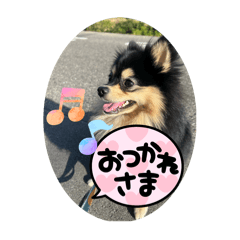 KAORI_20251228205115