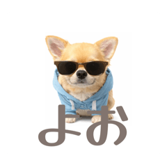 Tamago_20251228170258