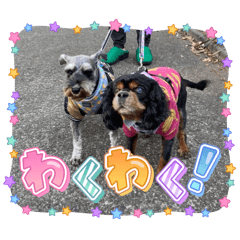 Blacky_20251228182106