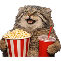 KATO PAINTER_20251225124256