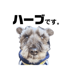 syake_20251228220312