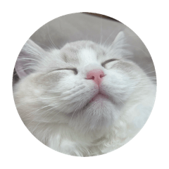 sakin_20251228215951