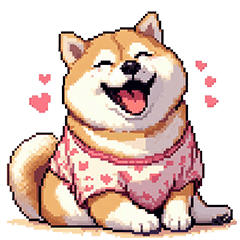 気持ちを伝えるラブリーふとっちょ柴犬