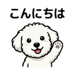 White Schnauzer Kumu