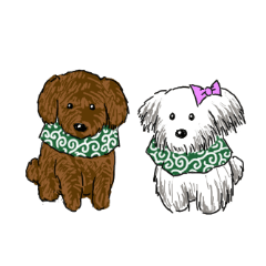 可愛い ワンちゃん