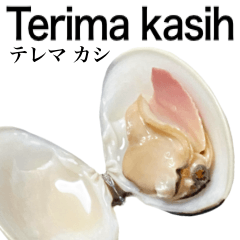 国産 はまぐり 【インドネシア語】