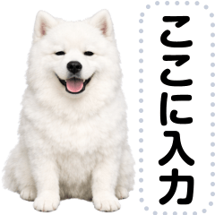 サモエドのメッセージスタンプ
